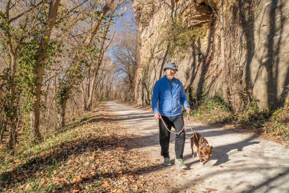 senior man is walking with a pitbull dog on Katy Trail near Rocheport, Missouri, late November forest scenery