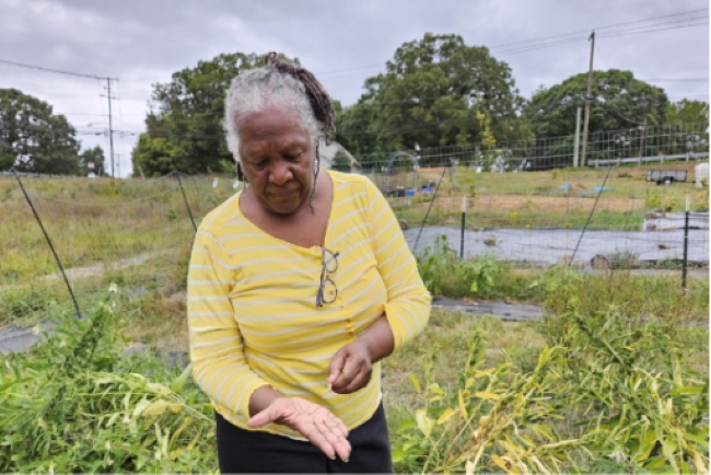 woman in a garden looking at plants